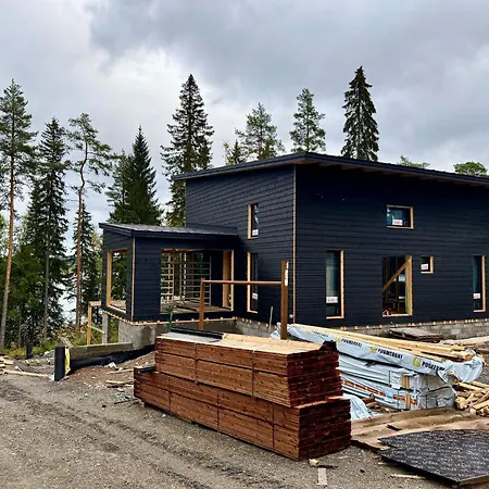 Lakeside Himos - 300m2 By The Up To 27 Guest * Jämsä