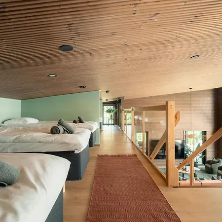 Lakeside Himos - 350m2 By The Up To 27 Guest *